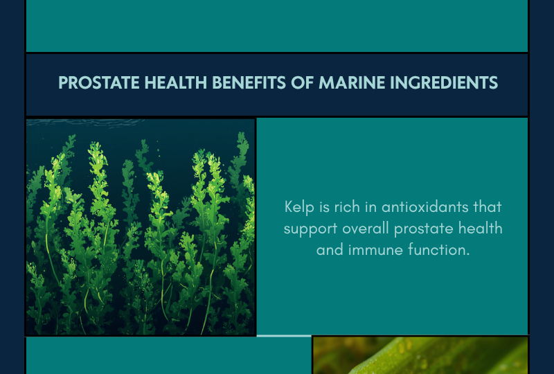 marine-ingredients-prostate-health-infographic