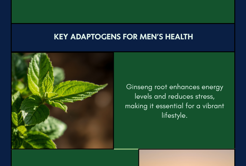 adaptogens-mens-vitality-infographic