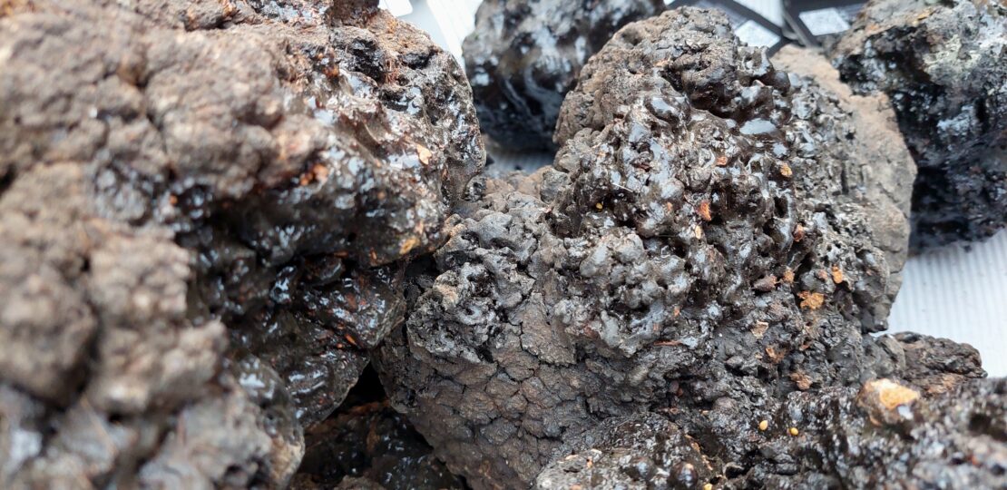 shilajit-mens-health-featured
